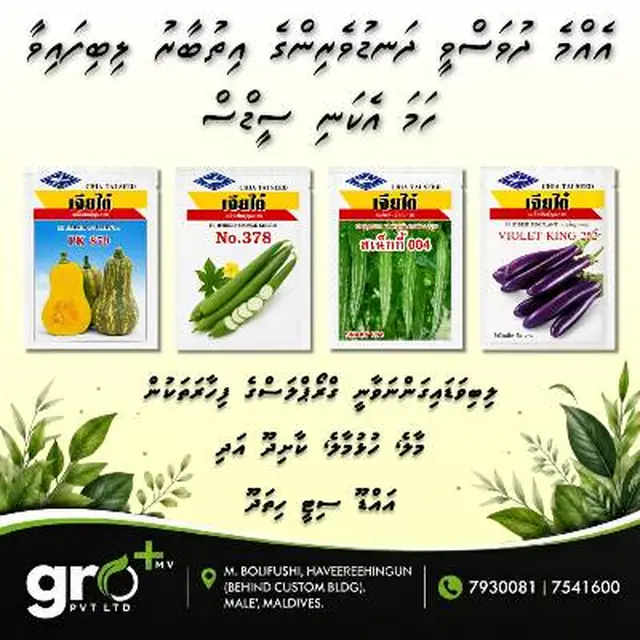 Chia Tai vegetable seed packets